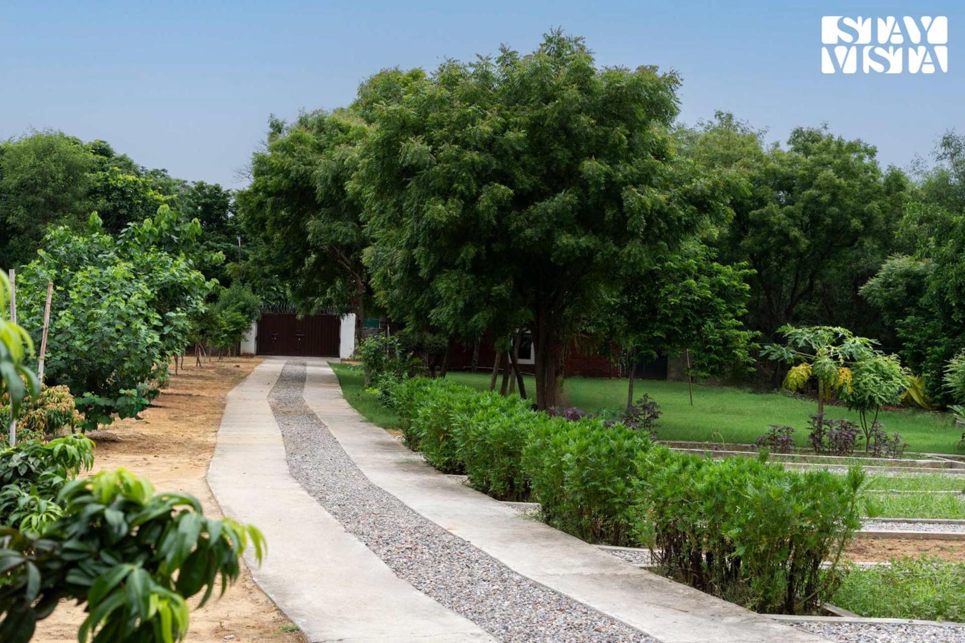 Stayvista At Idyllic Farmhouse - A Glasshouse With Outdoor Pool غورغاون المظهر الخارجي الصورة